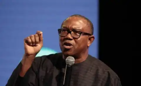 Nigeria's Economic Problems Not Created By Present Government - Peter Obi